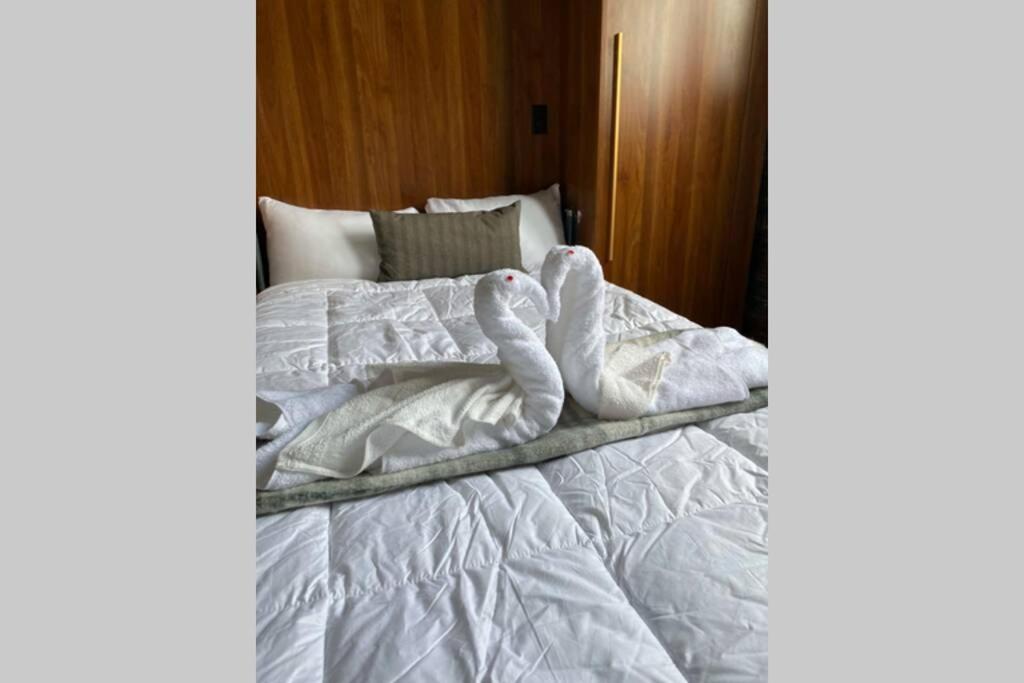 3E-Cozy! Micro Apartment Minutes From Shadyside, Sleeps 1 Pittsburgh Dış mekan fotoğraf
